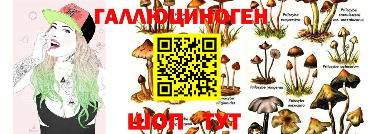 Галлюциногенные грибы MAGIC MUSHROOMS  Вход с VPN  Магнитогорск 