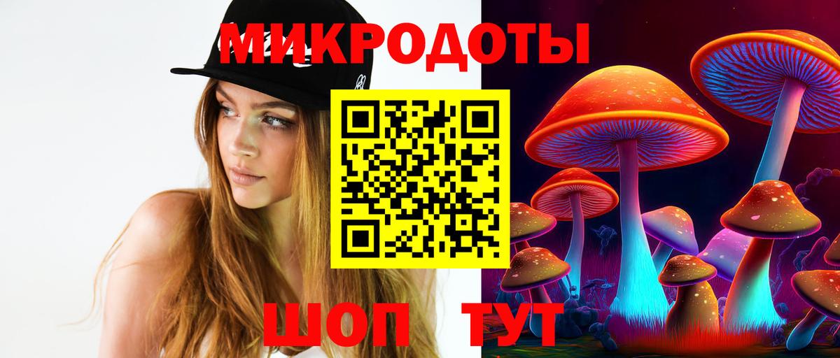Галлюциногенные грибы Psilocybine cubensis Магнитогорск